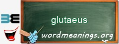 WordMeaning blackboard for glutaeus